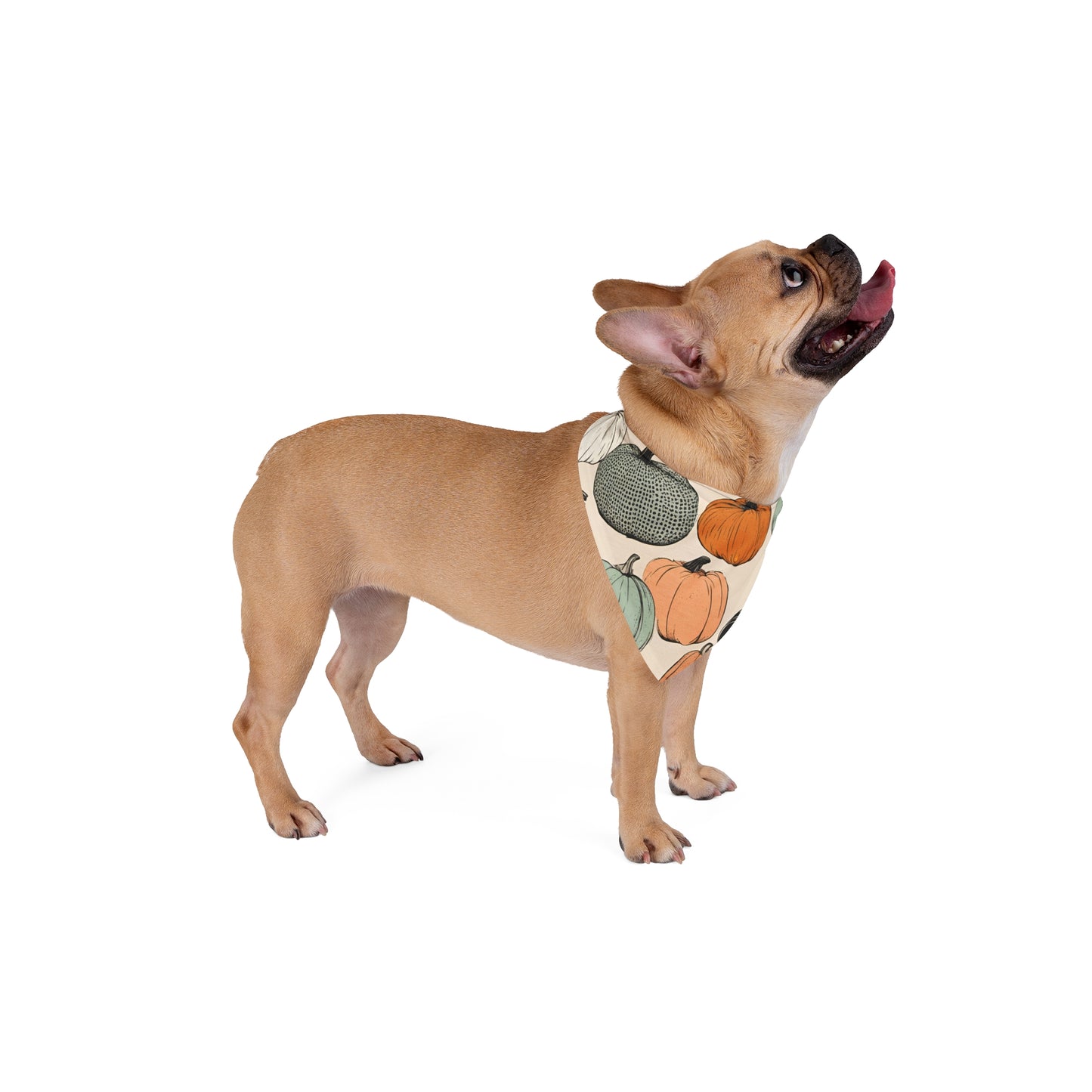 Fall Pumpkins Dog Bandana - Rustic Autumn Pet Accessory