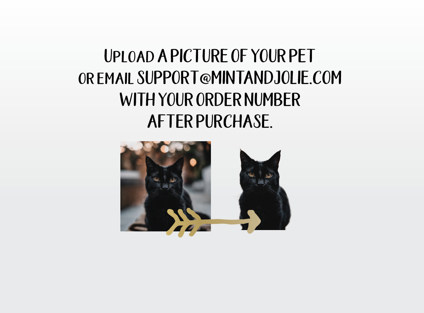 Personalized Cat and Dog ID Tag with your pet's picture!