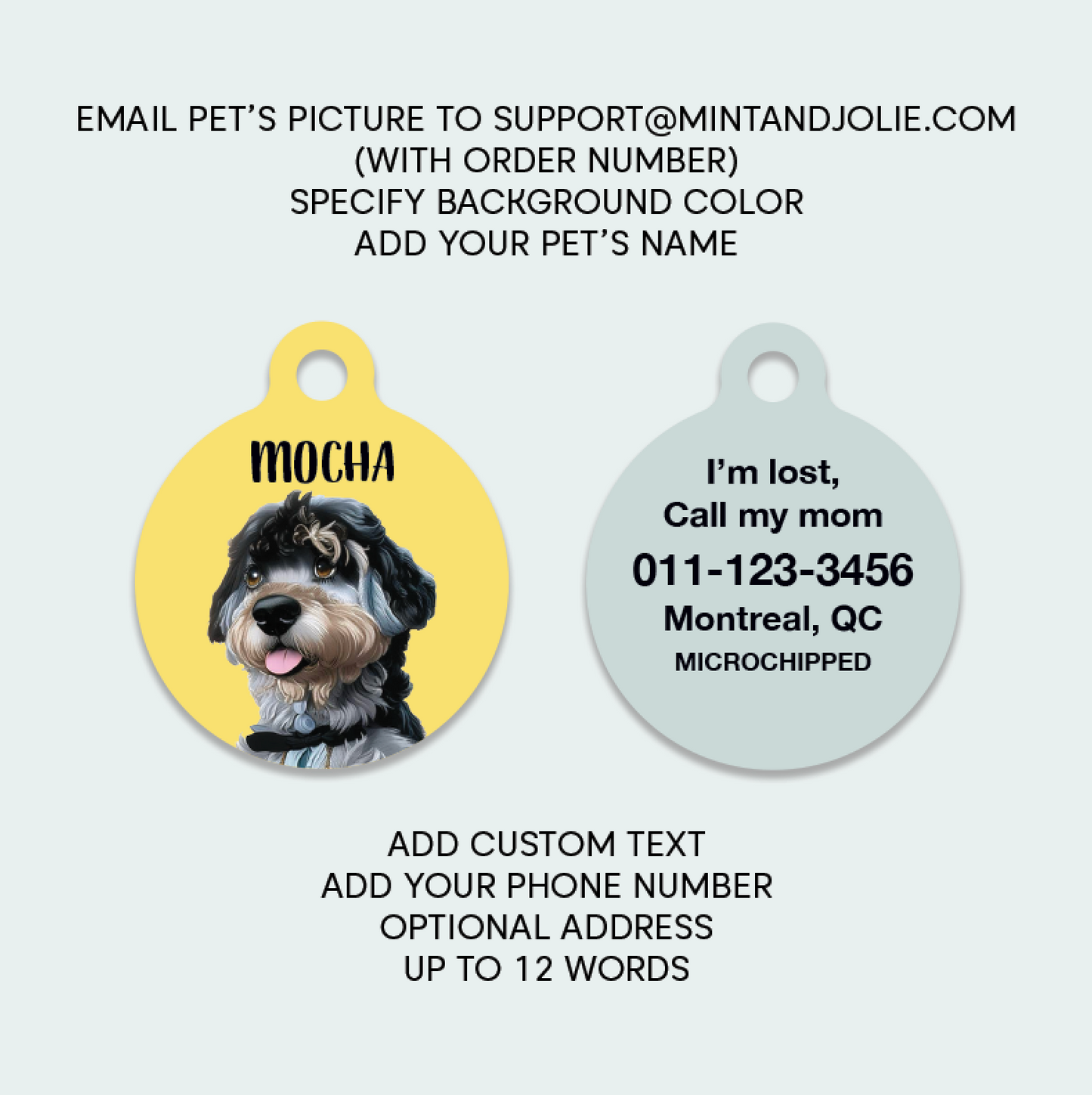 Custom Personalized Illustrated Pet ID Tag – Lightweight Aluminum, Weatherproof, Durable – Custom Pet Portrait Name Tag for Dogs & Cats