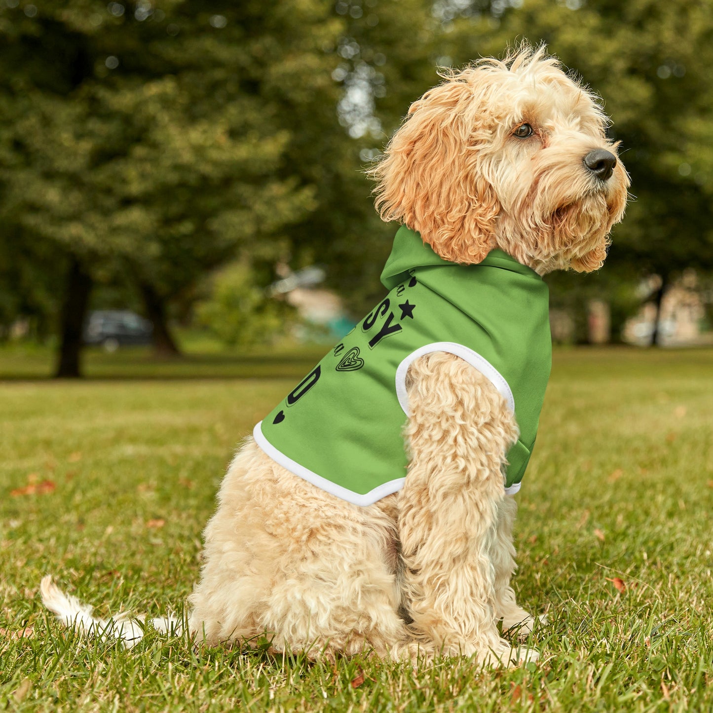 Kinda Classy Kinda Hood Mint Pet Hoodie