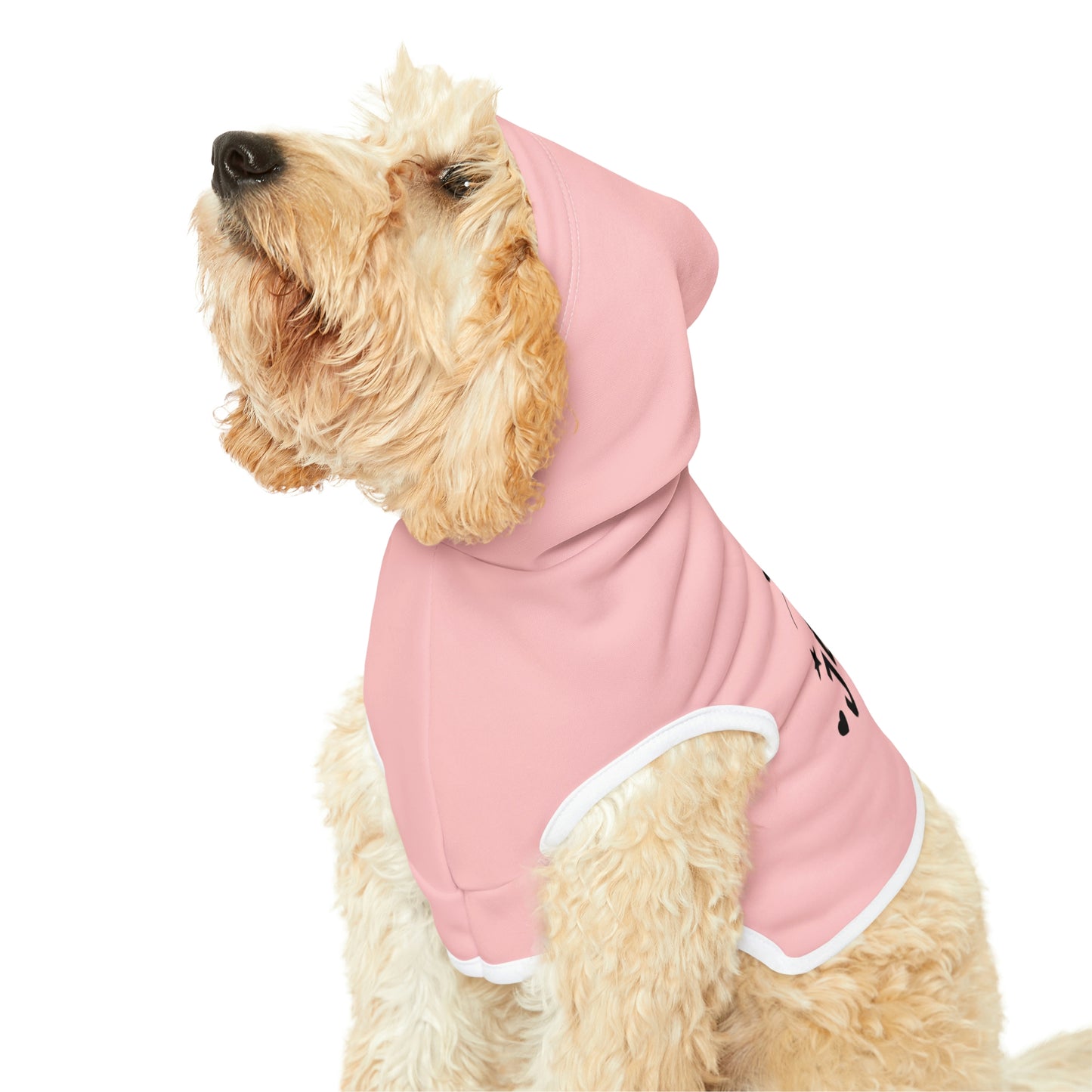 Treat Junkie Pink Pet Hoodie