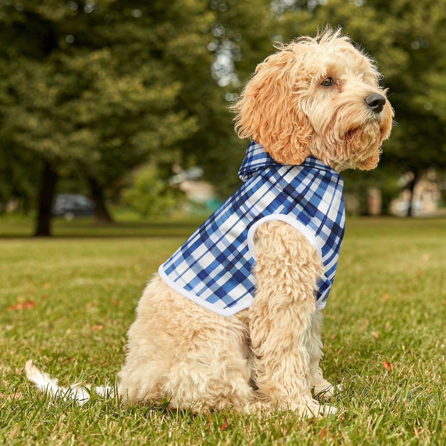 Blue Plaid Pet Hoodie
