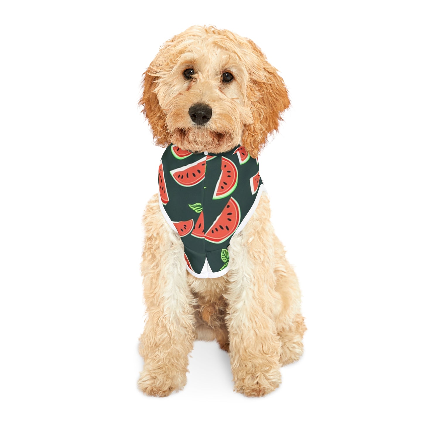 Watermelon Pet Hoodie