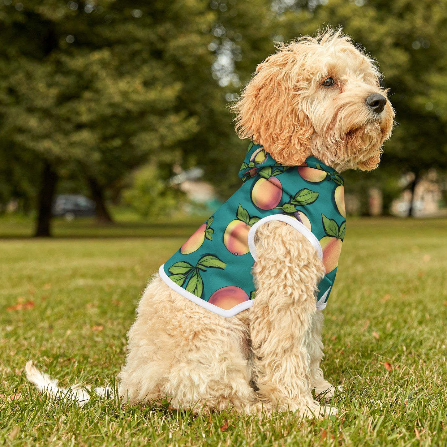 Apples Pet Hoodie