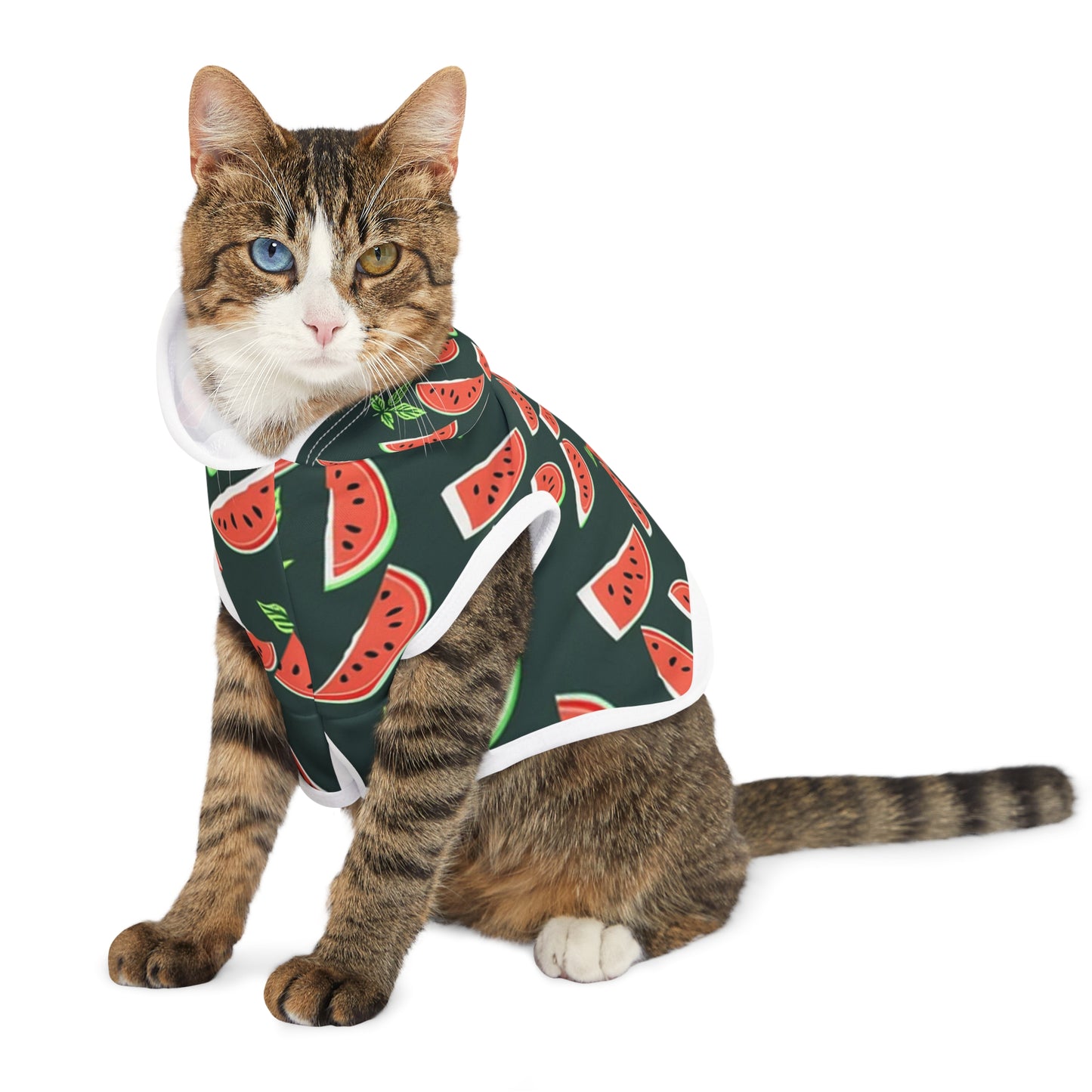 Watermelon Pet Hoodie