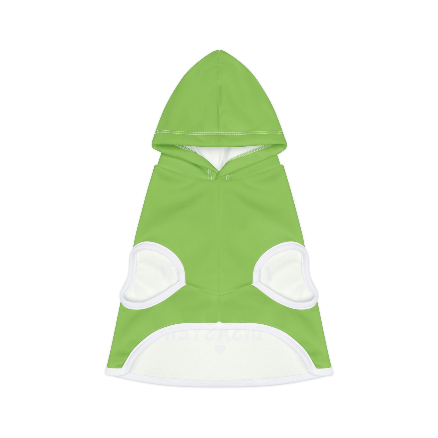 Master of Disaster Mint Pet Hoodie
