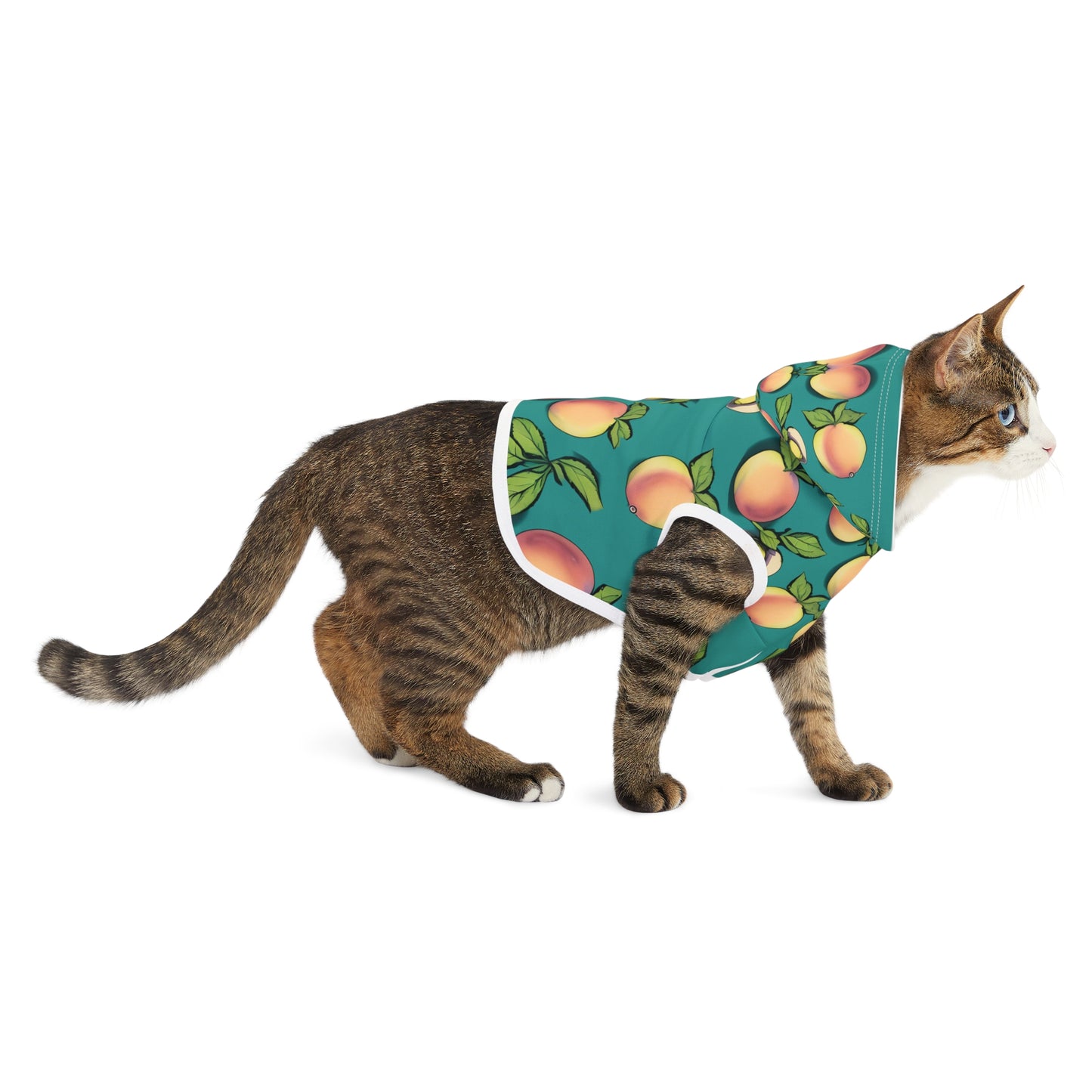 Apples Pet Hoodie