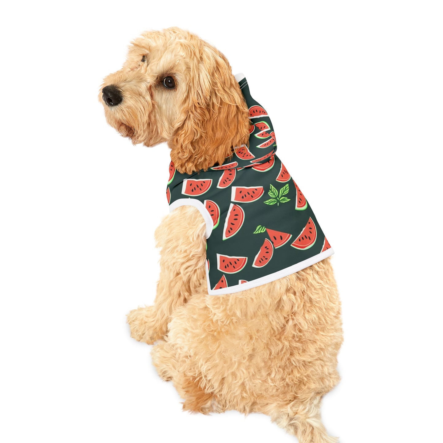 Watermelon Pet Hoodie