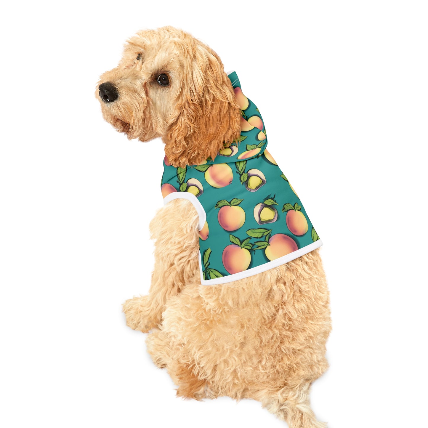 Apples Pet Hoodie
