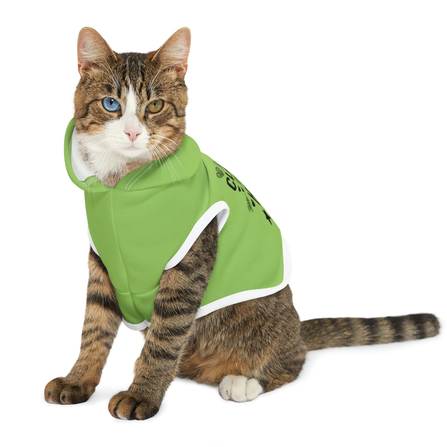 Kinda Classy Kinda Hood Mint Pet Hoodie