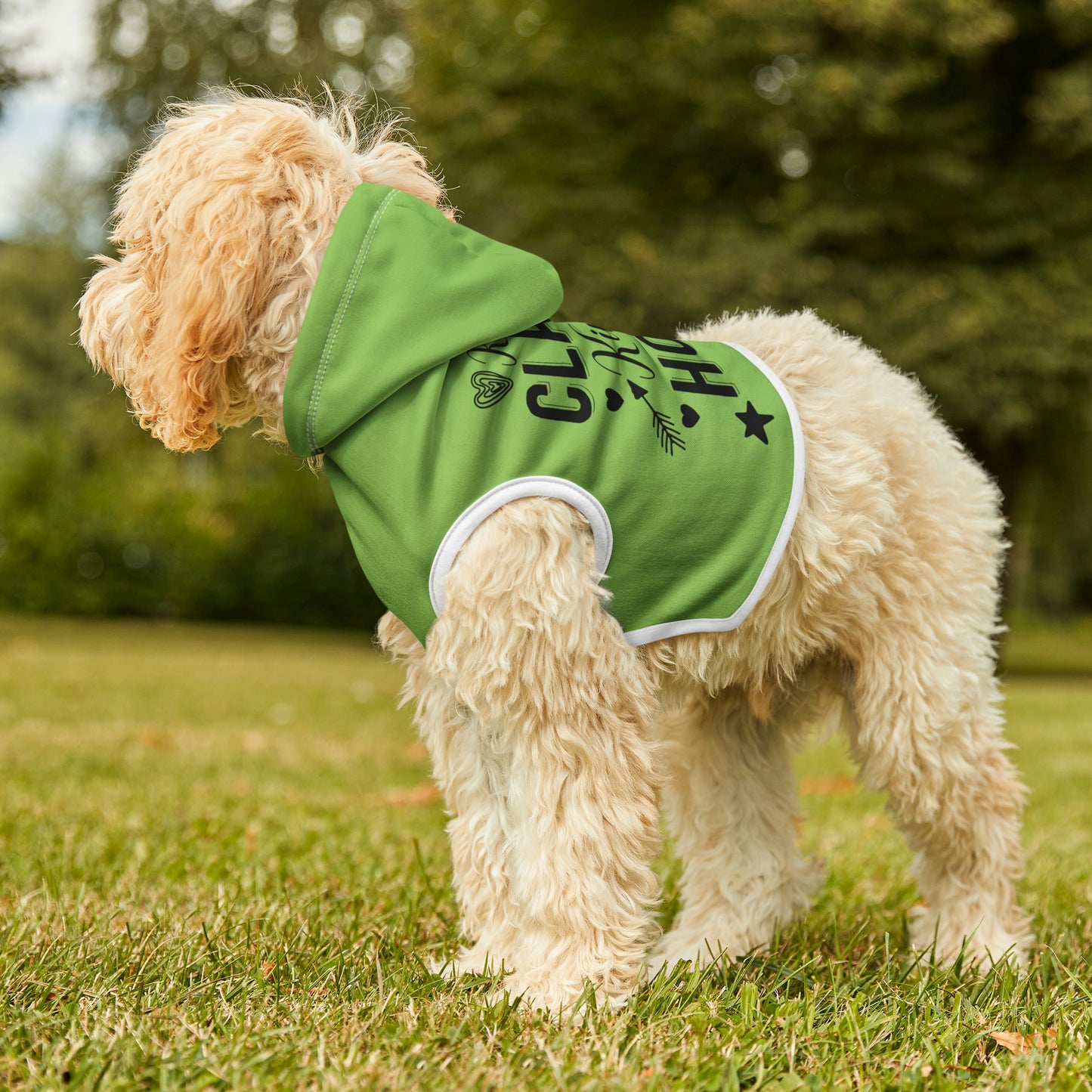 Kinda Classy Kinda Hood Mint Pet Hoodie