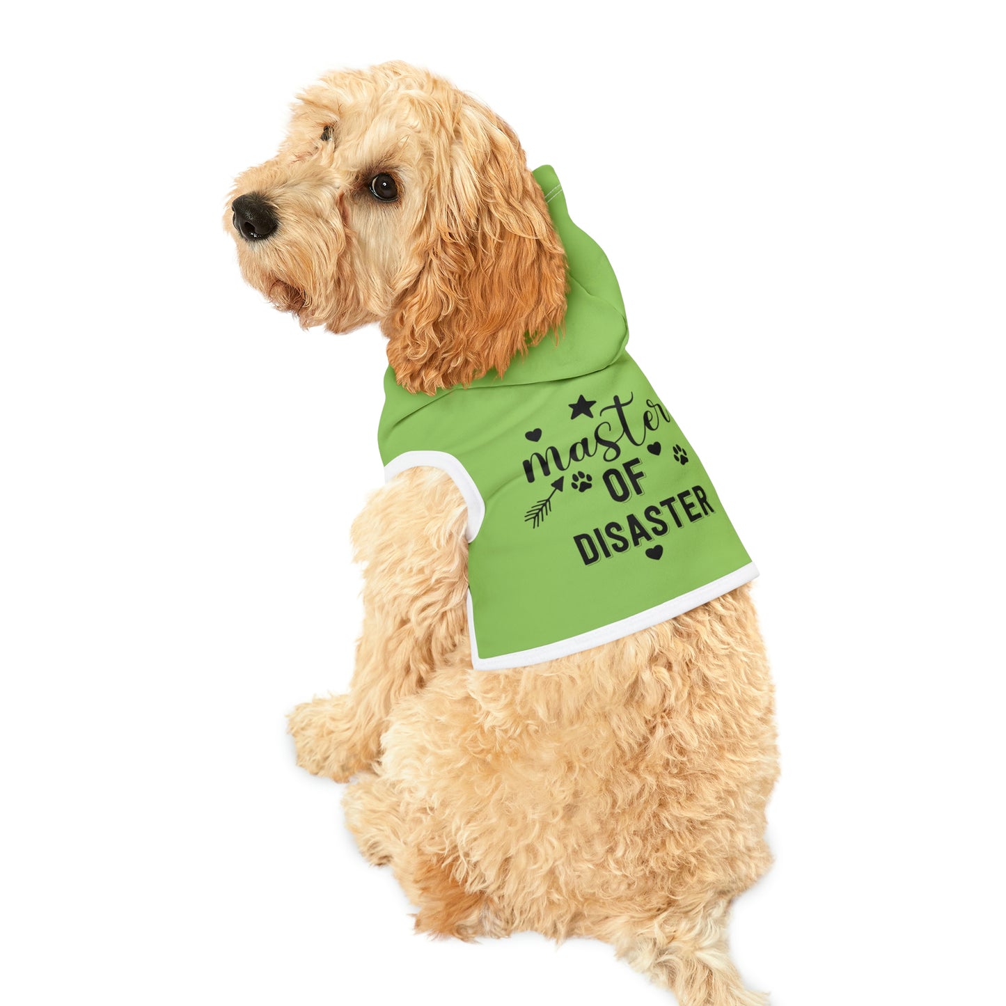 Master of Disaster Mint Pet Hoodie