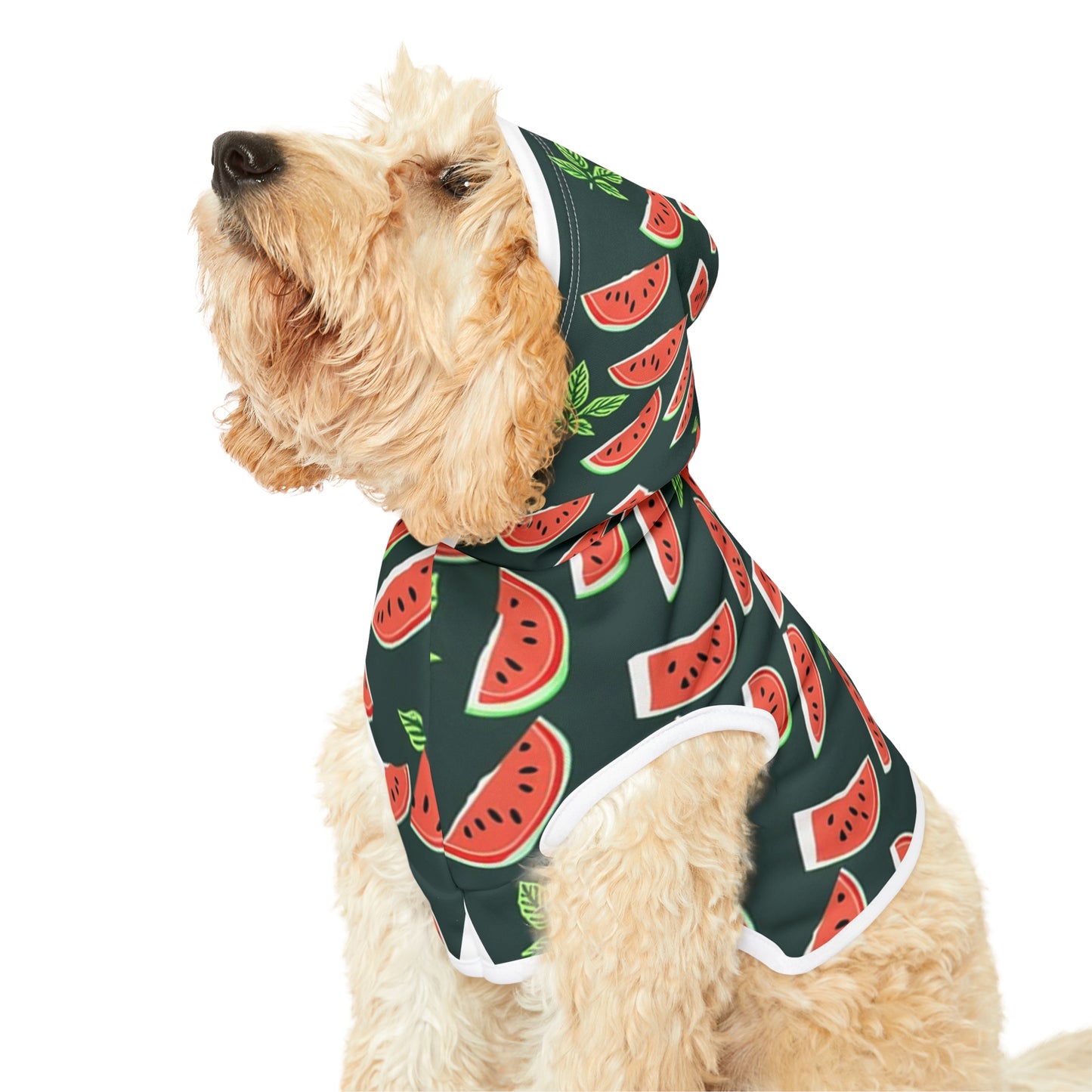 Watermelon Pet Hoodie