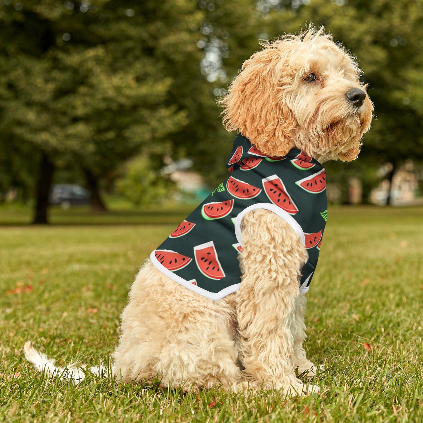 Watermelon Pet Hoodie
