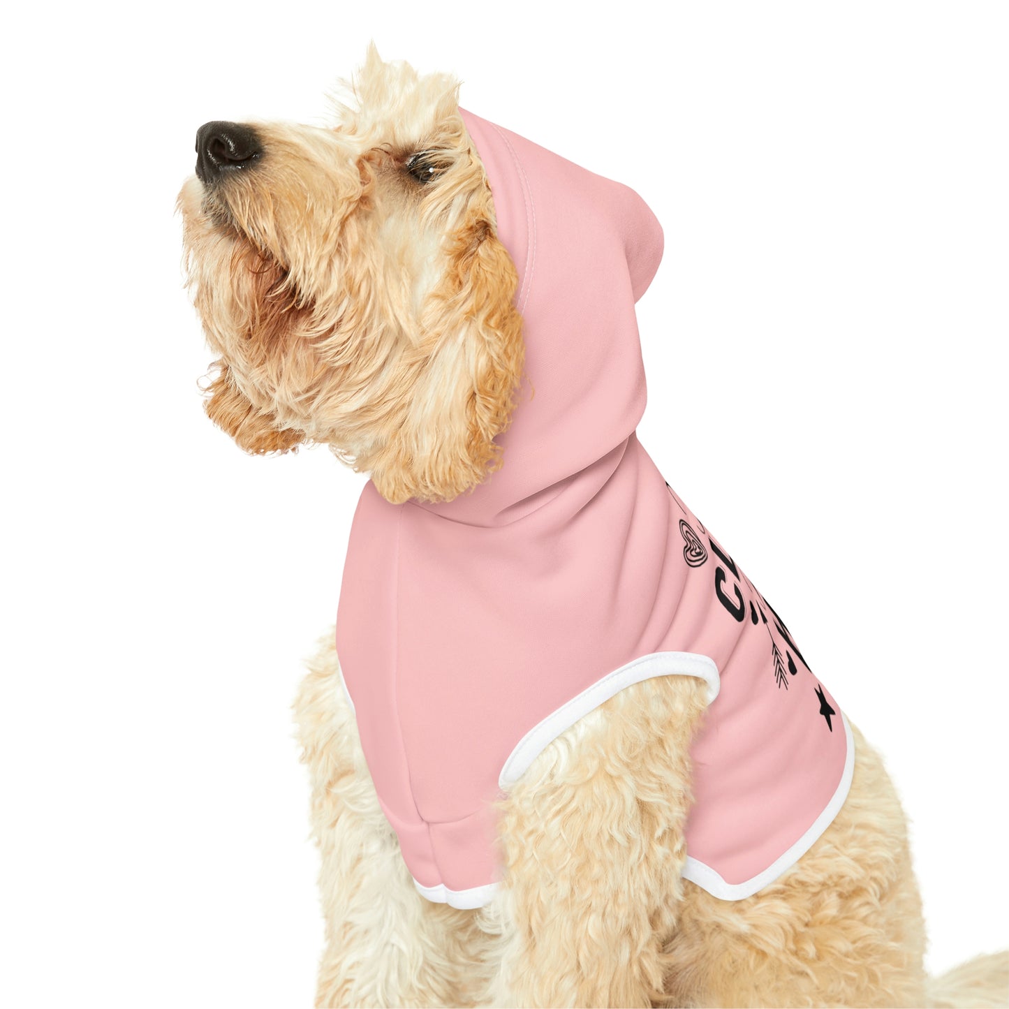 Kinda Classy Kinda Hood Pink Pet Hoodie