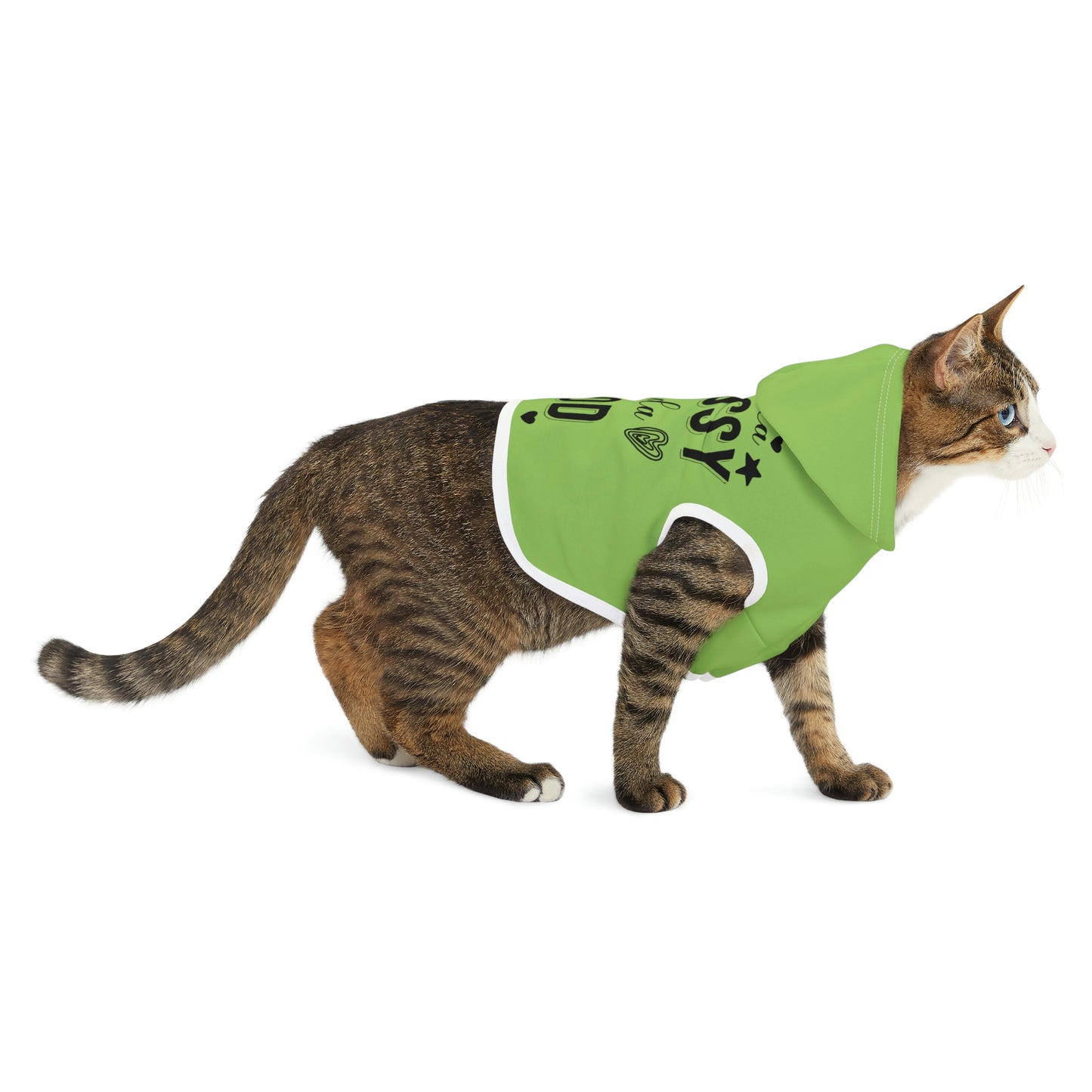 Kinda Classy Kinda Hood Mint Pet Hoodie