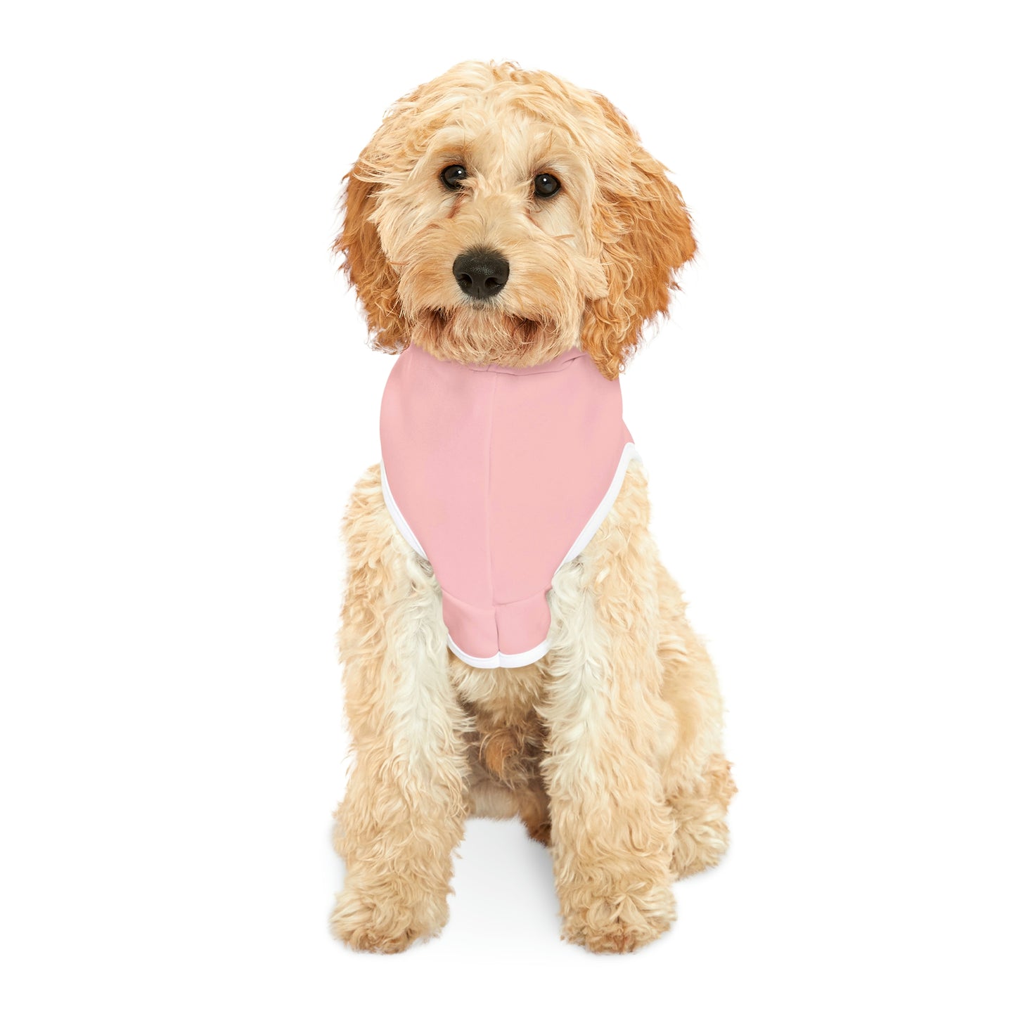 Kinda Classy Kinda Hood Pink Pet Hoodie