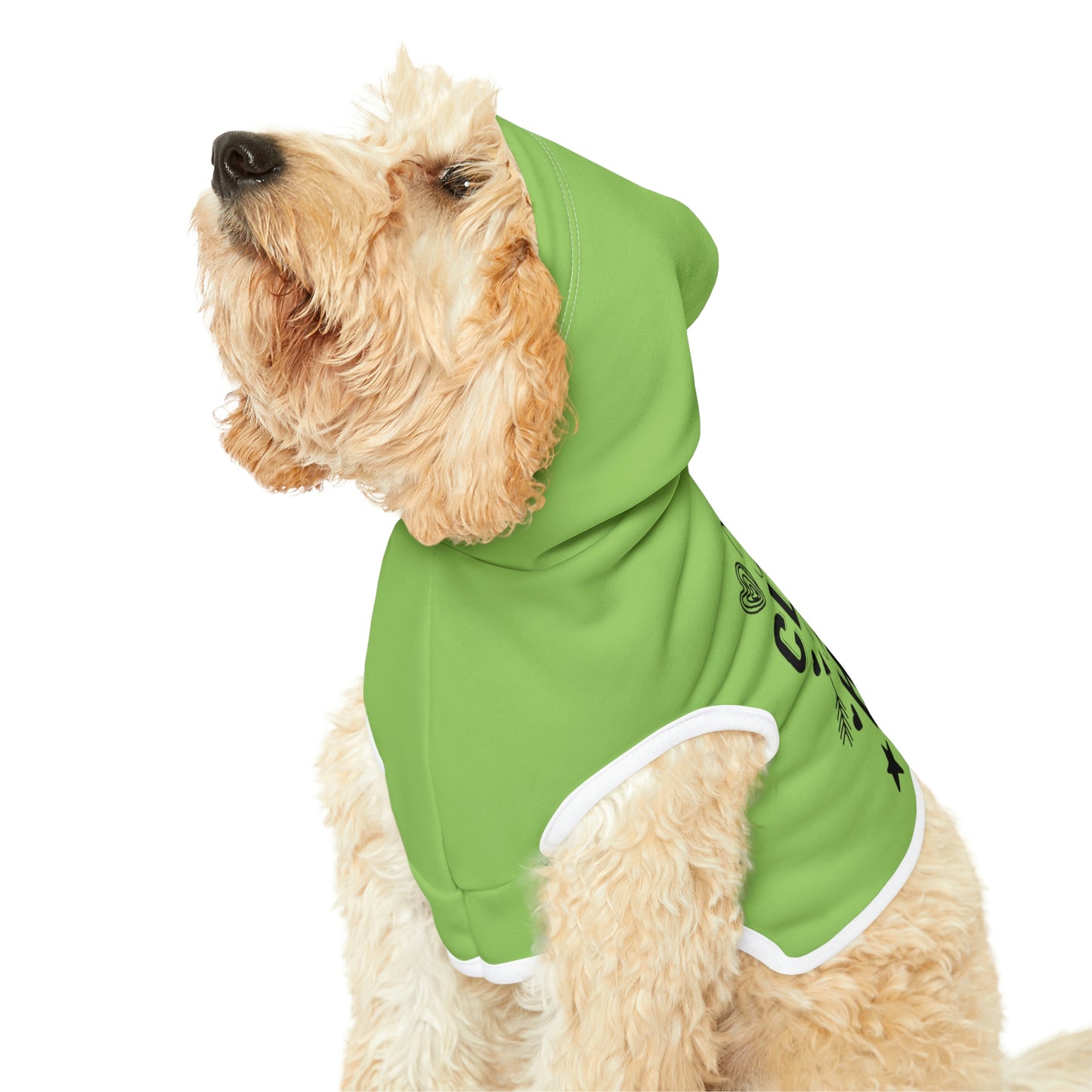 Kinda Classy Kinda Hood Mint Pet Hoodie