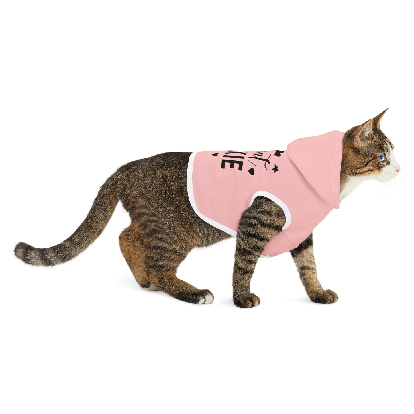 Treat Junkie Pink Pet Hoodie