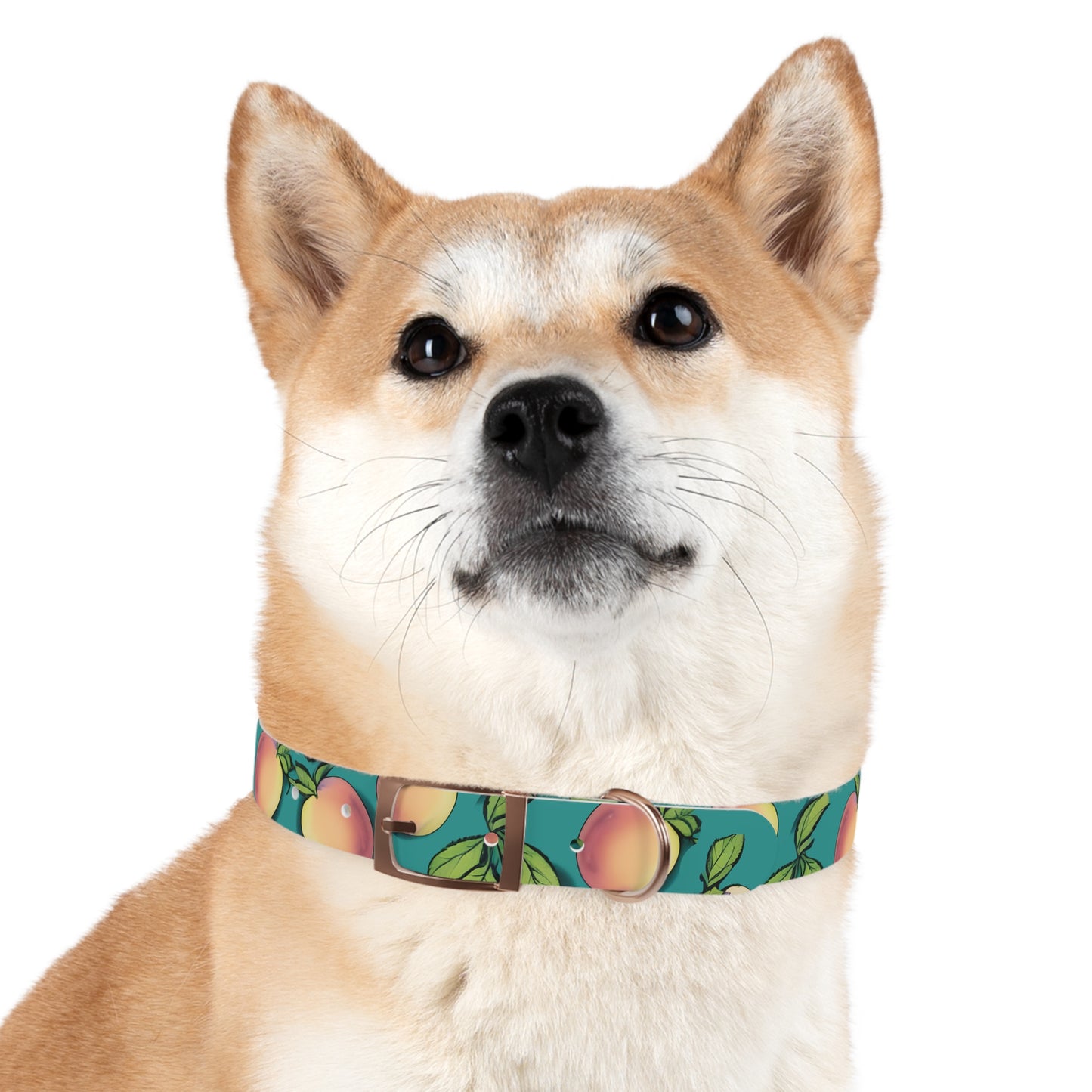 Apples Dog Collar