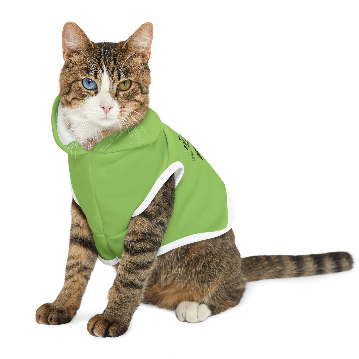 Master of Disaster Mint Pet Hoodie