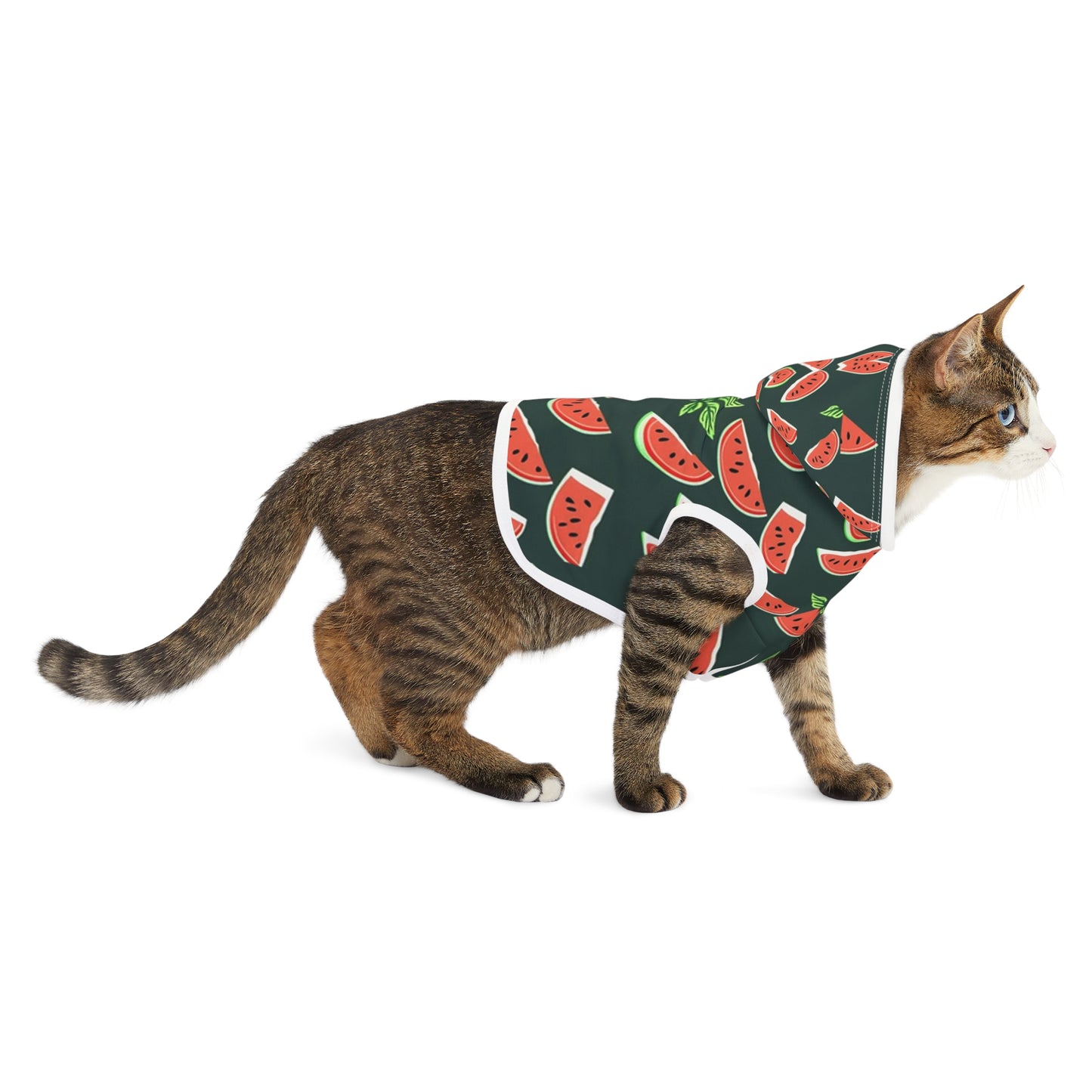 Watermelon Pet Hoodie