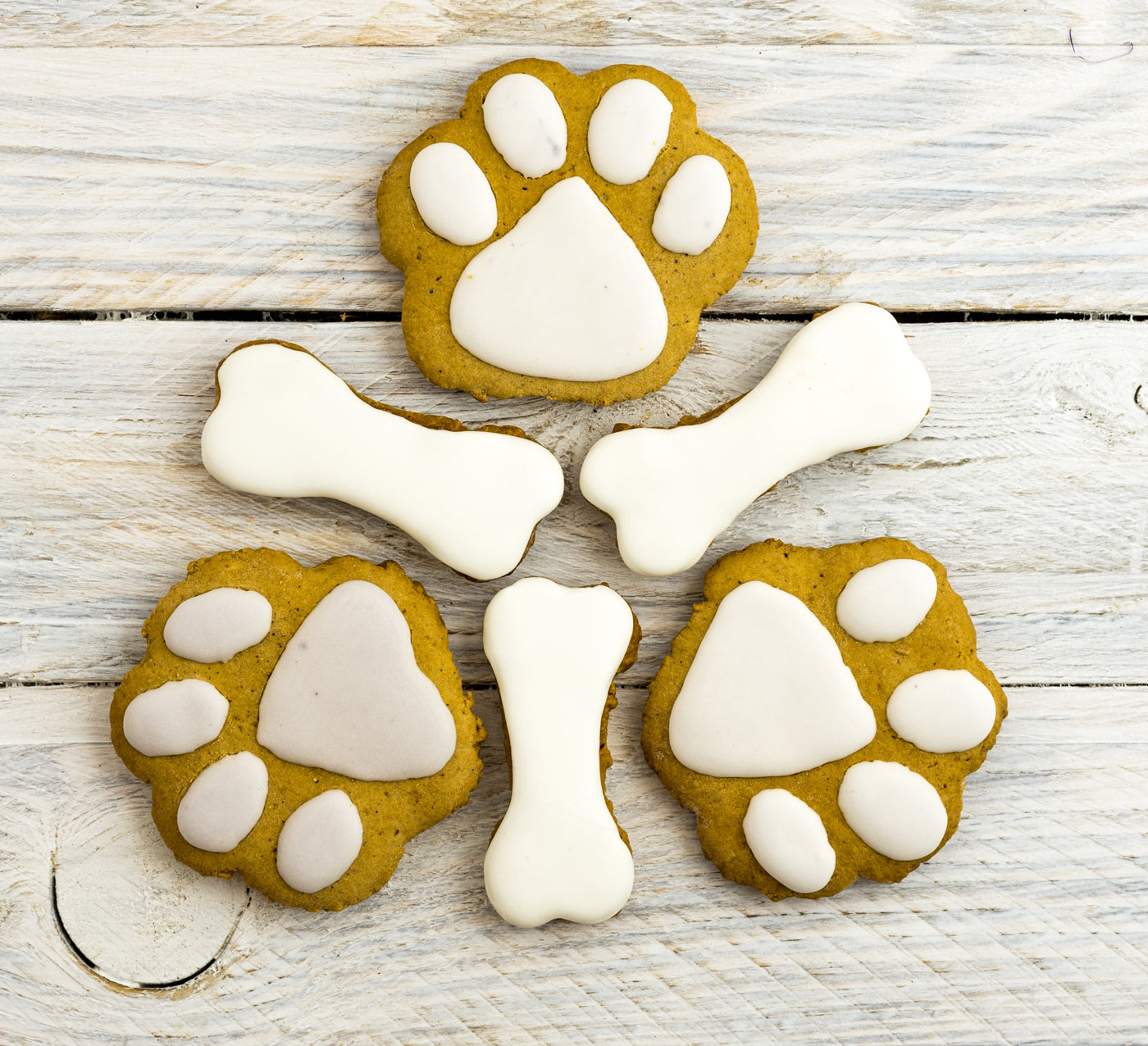 Set of two Paw and Bone Silicone Treat Mold