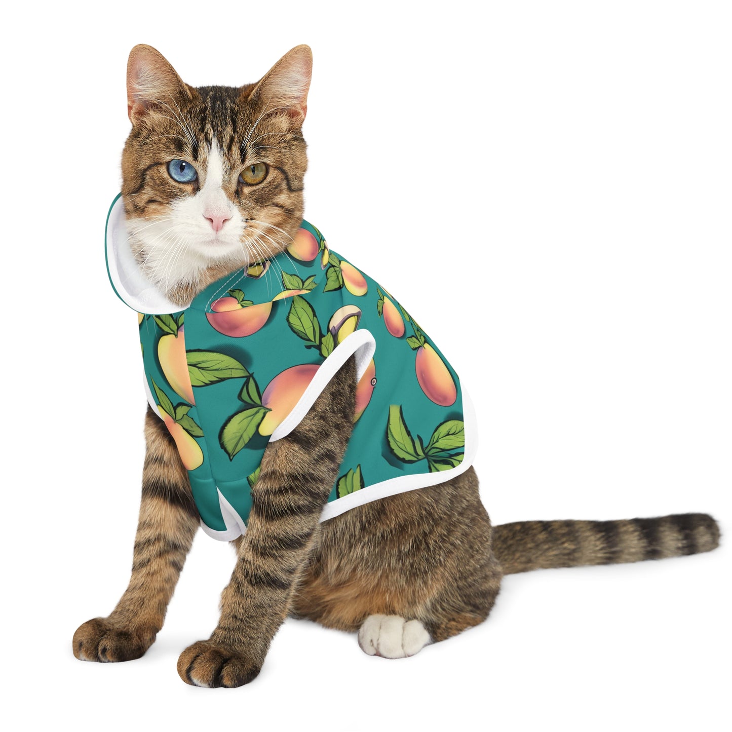 Apples Pet Hoodie