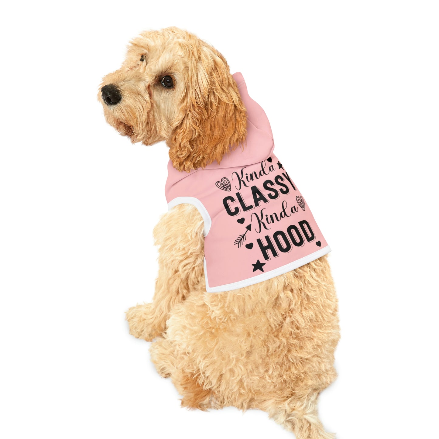 Kinda Classy Kinda Hood Pink Pet Hoodie