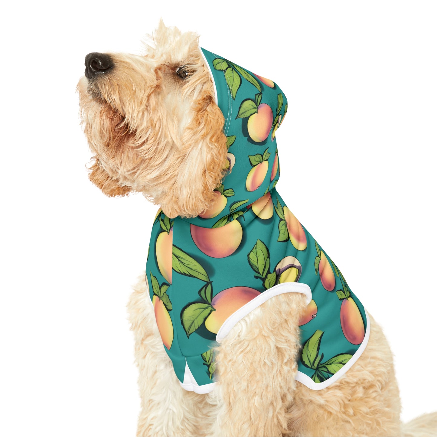 Apples Pet Hoodie