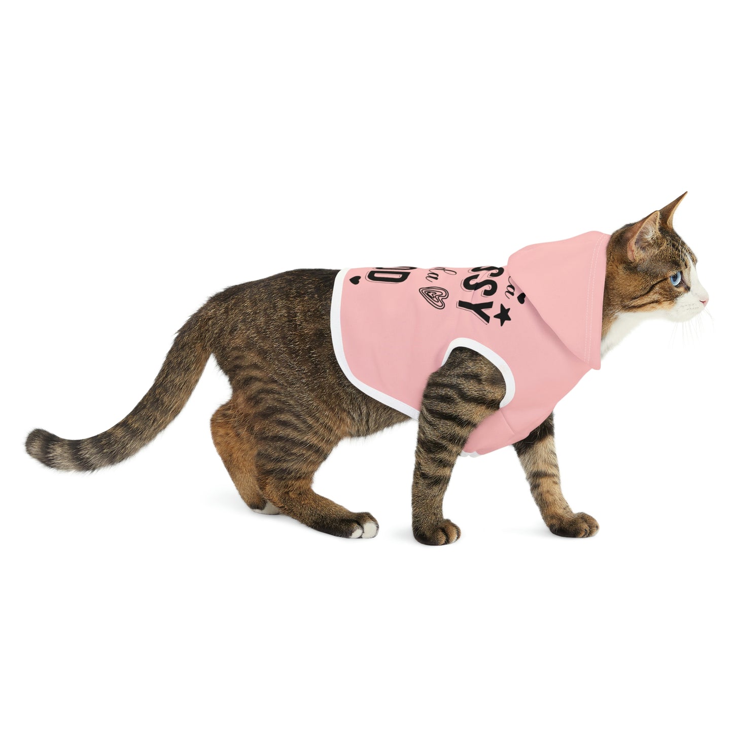 Kinda Classy Kinda Hood Pink Pet Hoodie