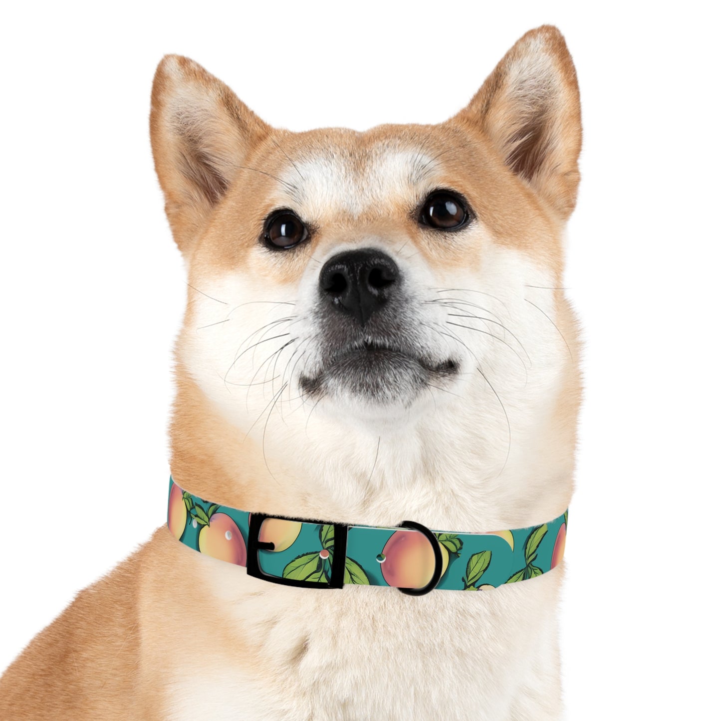 Apples Dog Collar