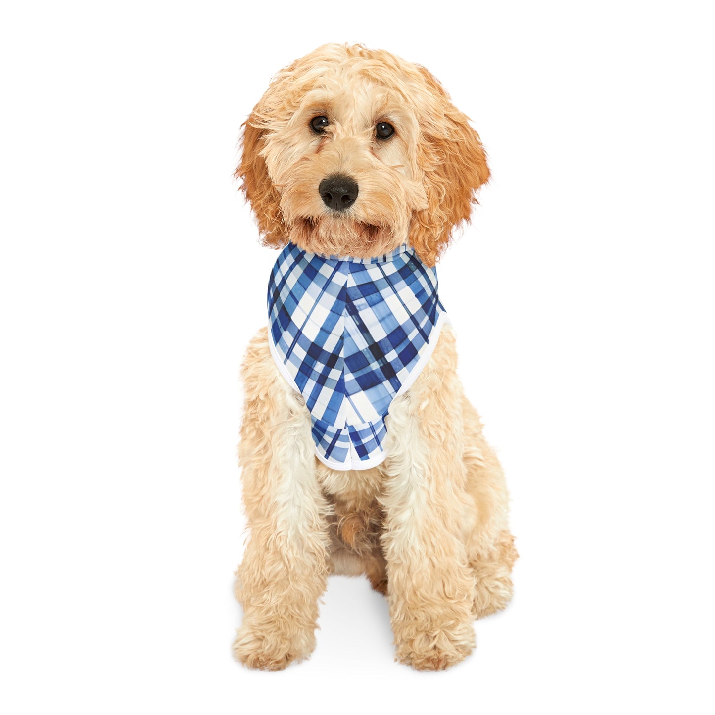 Blue Plaid Pet Hoodie