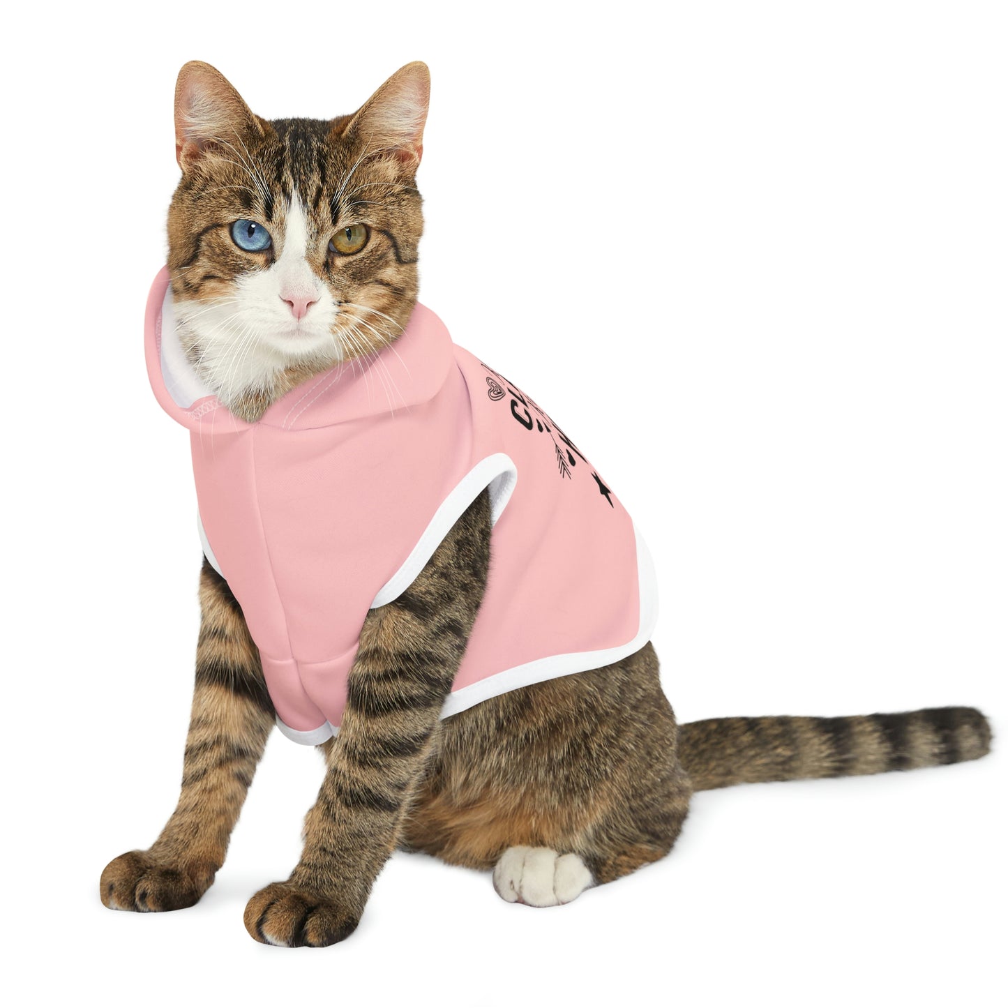 Kinda Classy Kinda Hood Pink Pet Hoodie