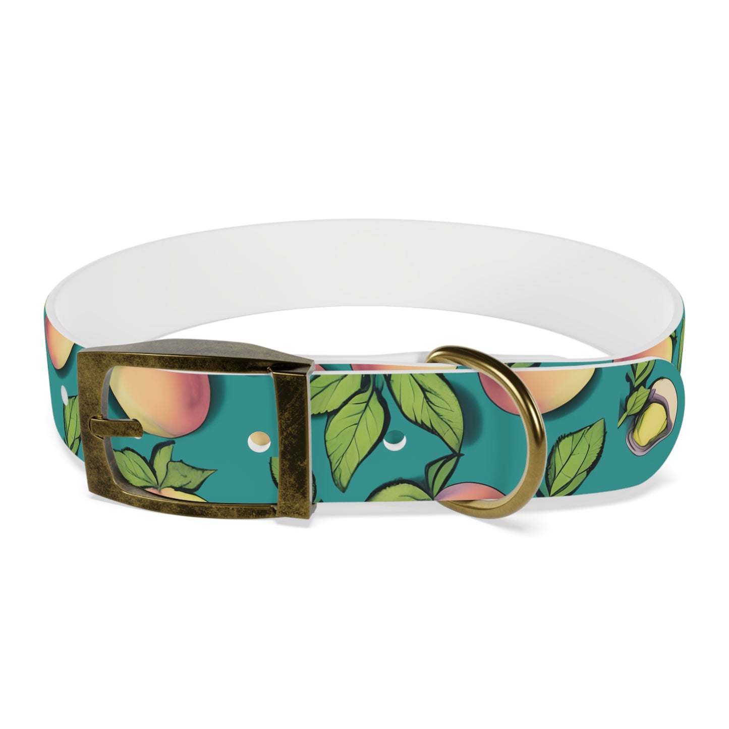 Apples Dog Collar