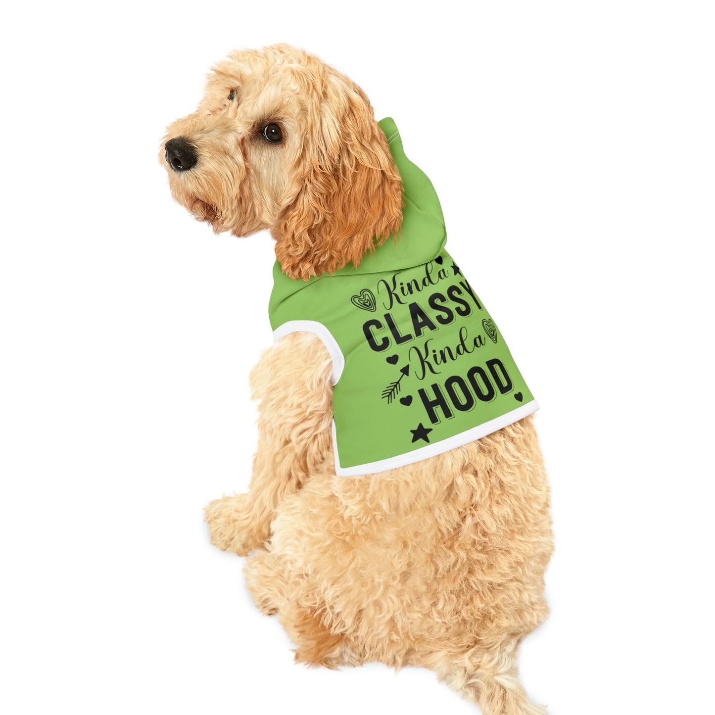 Kinda Classy Kinda Hood Mint Pet Hoodie