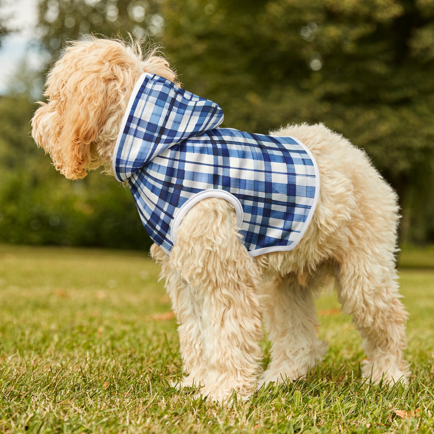 Blue Plaid Pet Hoodie