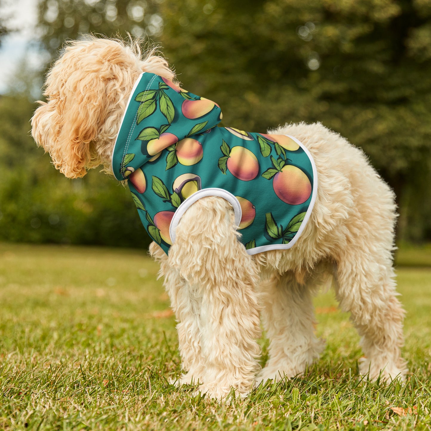 Apples Pet Hoodie