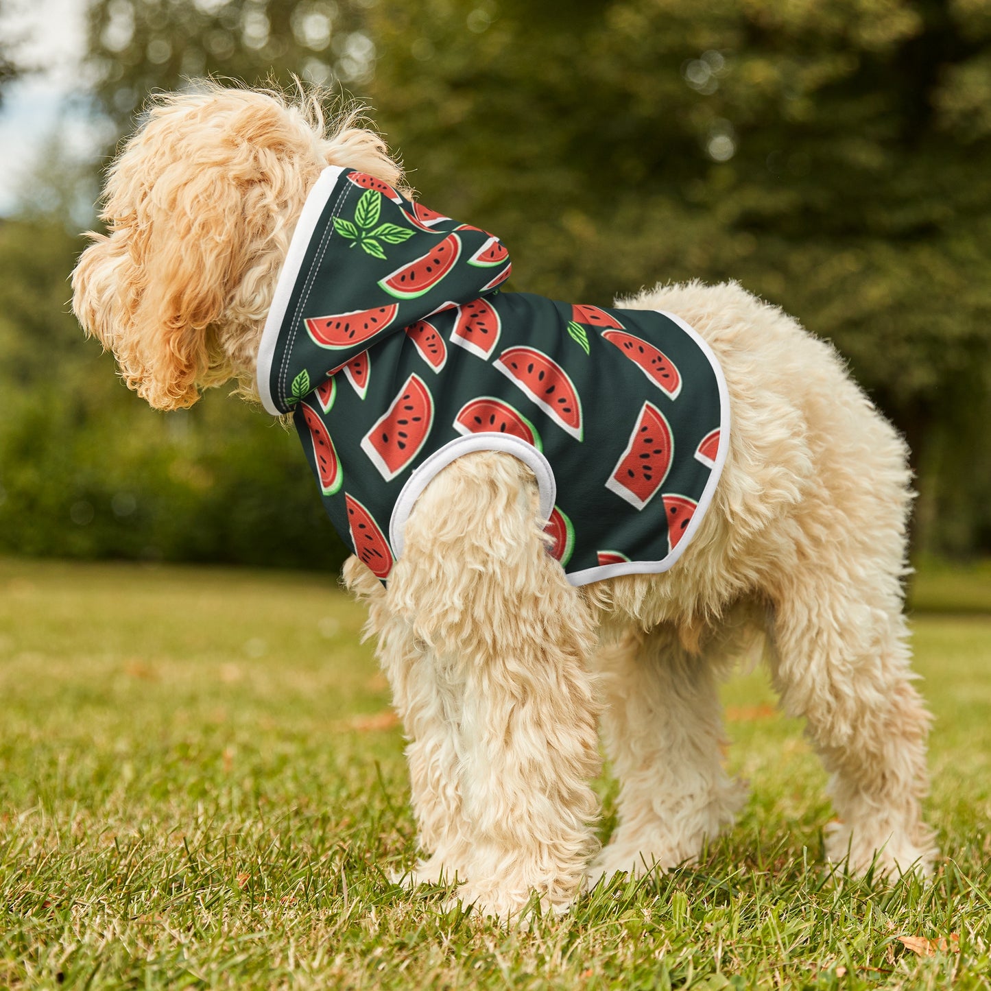 Watermelon Pet Hoodie