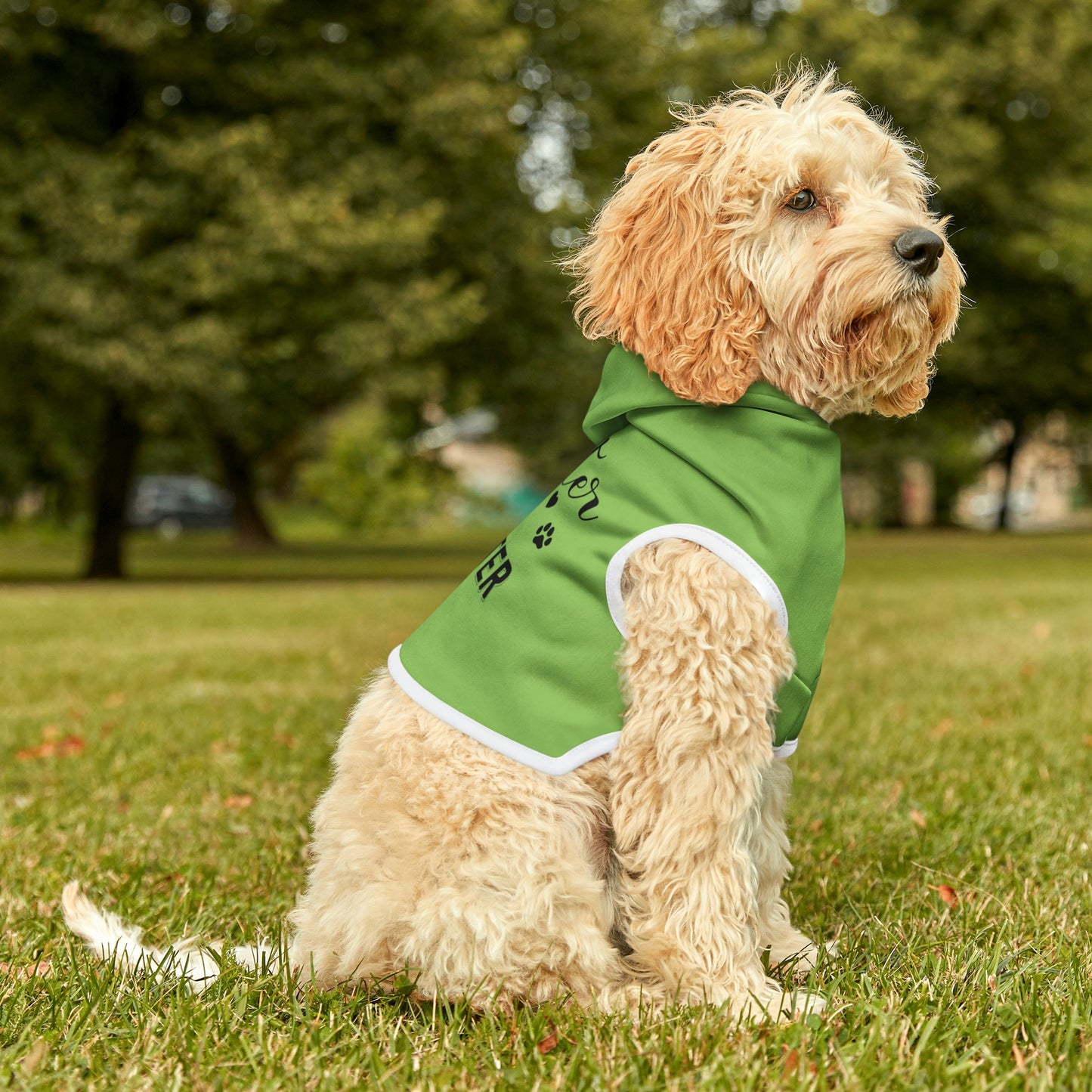 Master of Disaster Mint Pet Hoodie