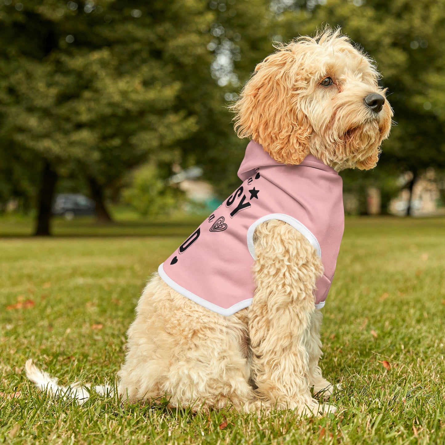 Kinda Classy Kinda Hood Pink Pet Hoodie
