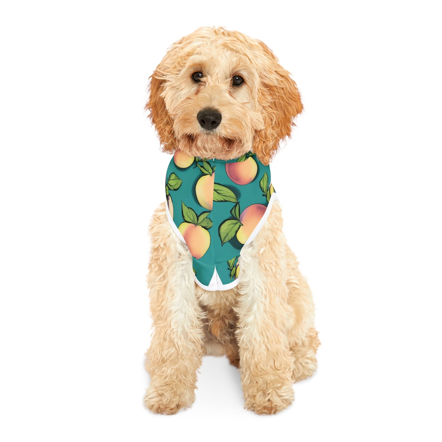 Apples Pet Hoodie