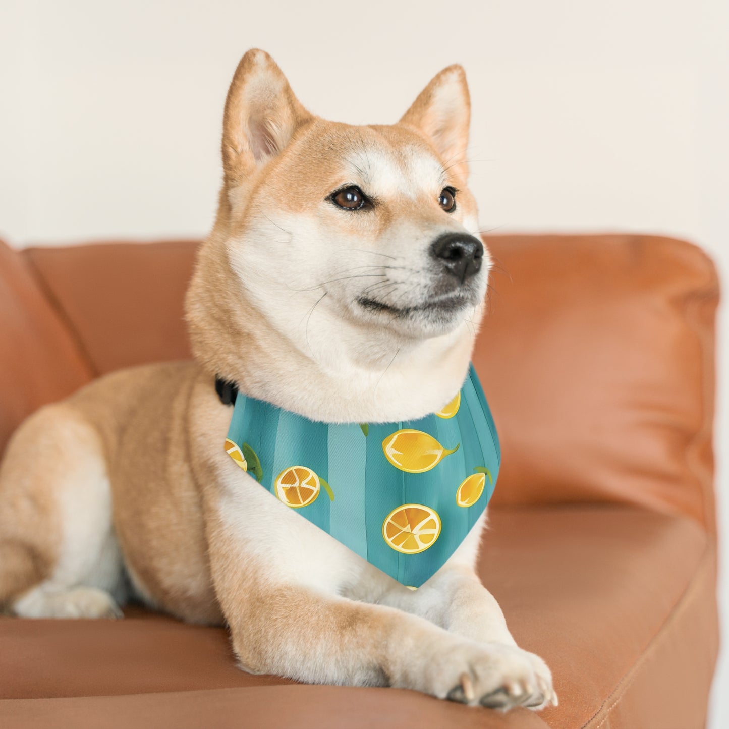 Watercolor Lemon Dog Bandana Collar