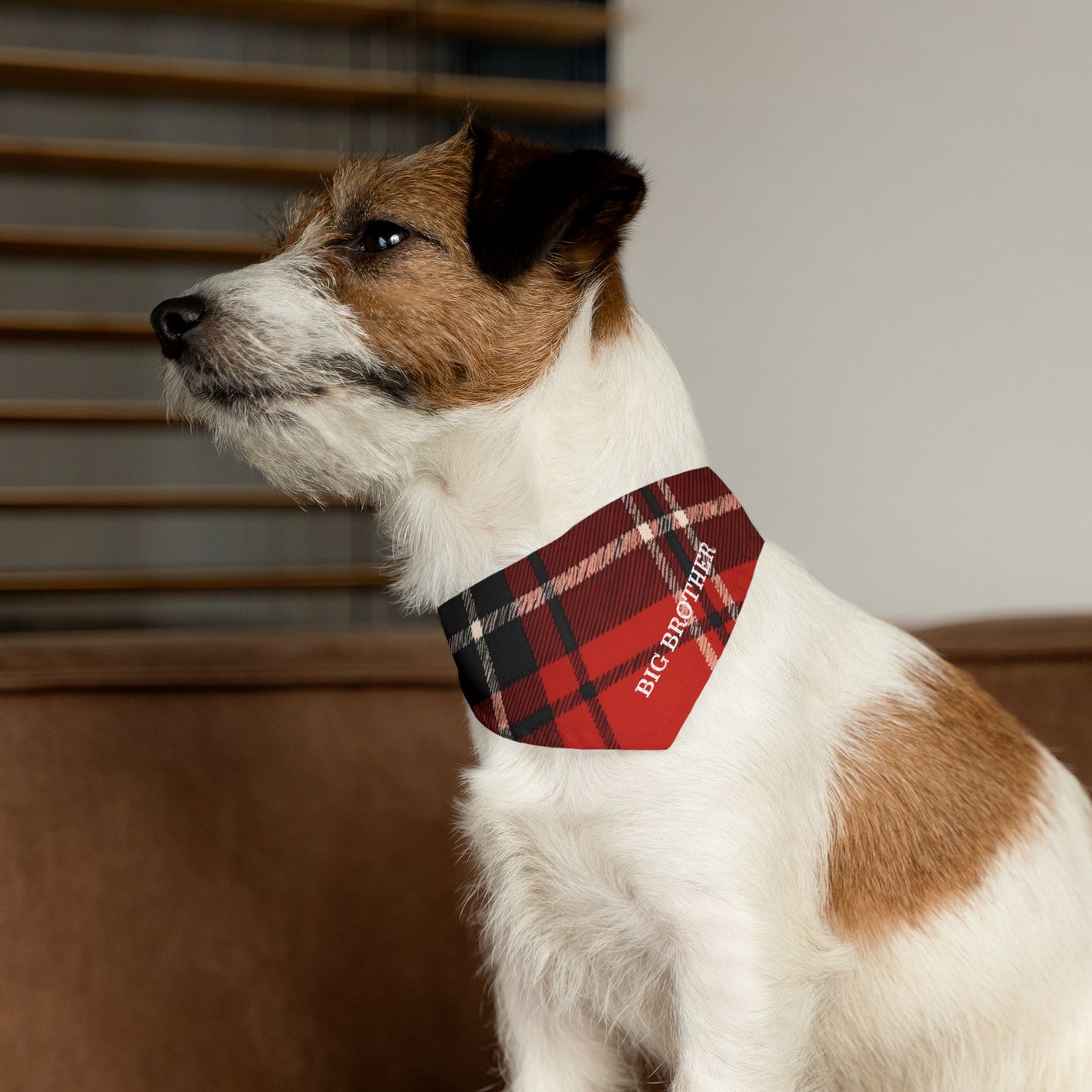 Big Brother Buffalo Plaid Snap-On Dog Bandana | Cute & Stylish Dog Accessory | Perfect for Sibling Announcements