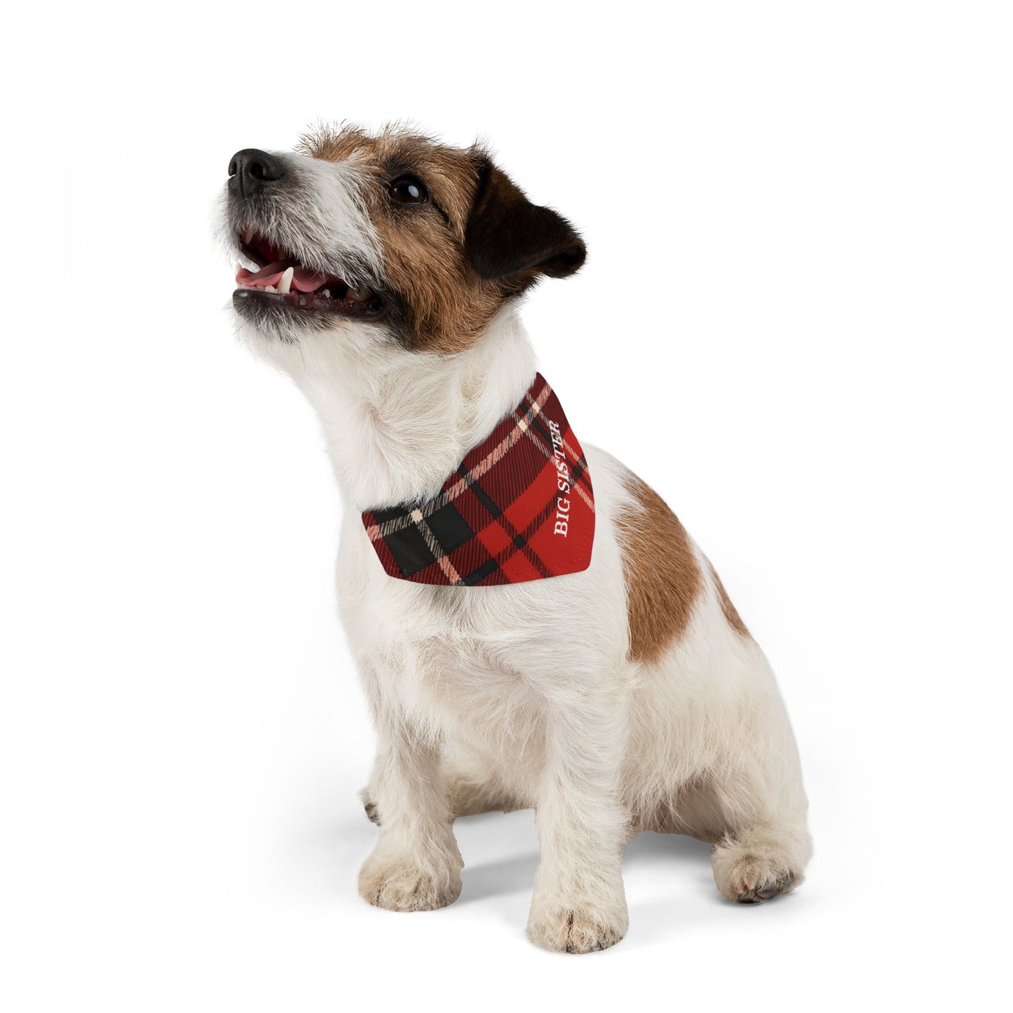 Big Sister Buffalo Plaid Snap-On Dog Bandana | Cute & Stylish Dog Accessory | Perfect for Sibling Announcements