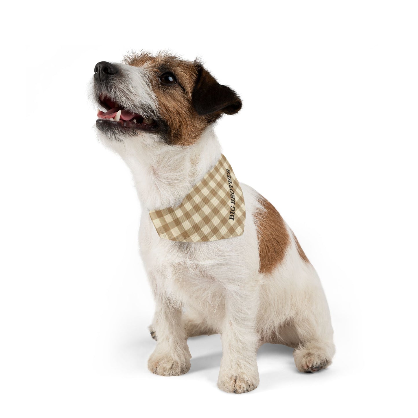 Big Brother Plaid Snap-On Dog Bandana | Stylish Pet Accessory | Perfect for Sibling Announcements