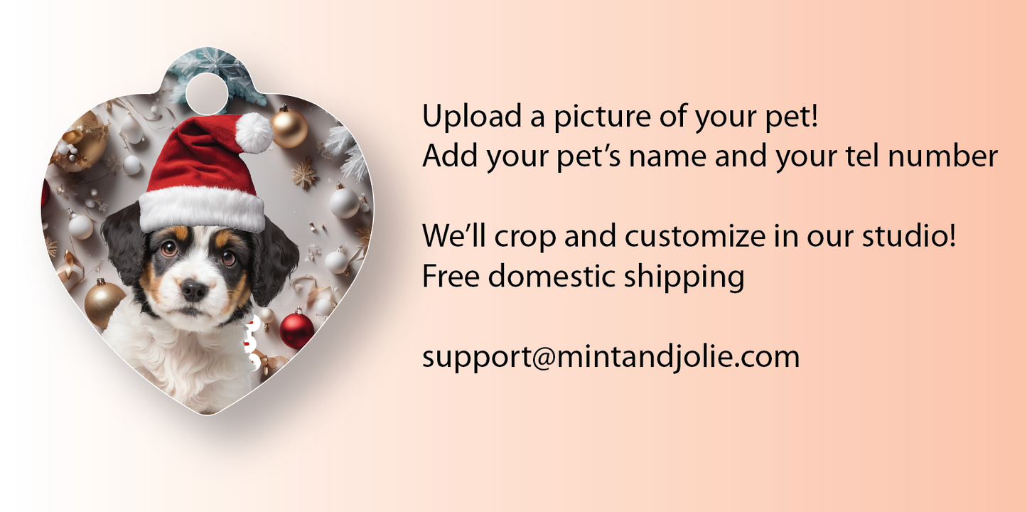 Your Pet as Santa Christmas Personalized Pet ID Tag for Cats and Dogs