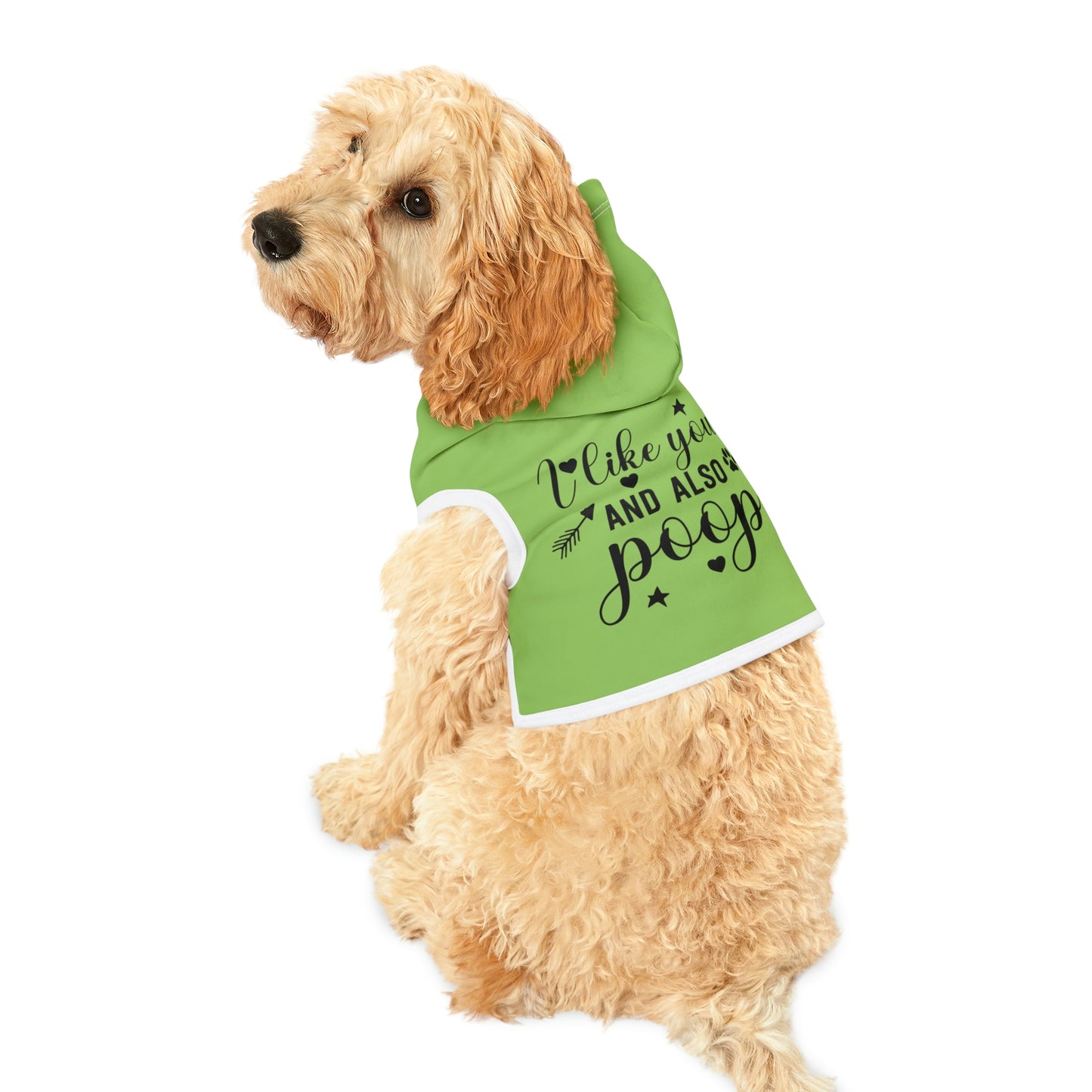 I like you and also poop Mint Pet Hoodie