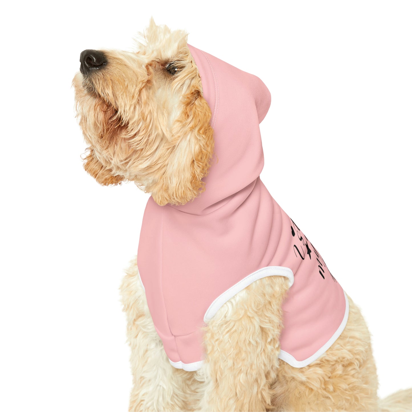 I still live with my mom Pink Pet Hoodie