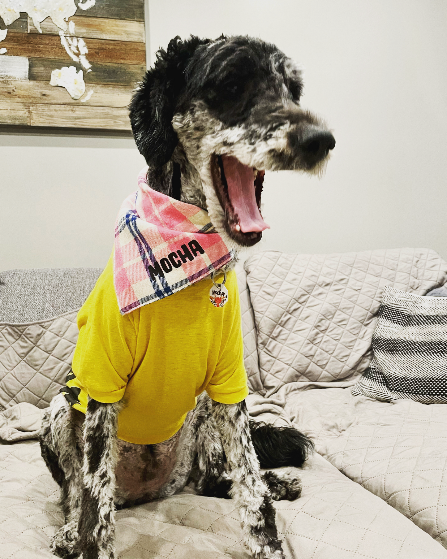 Personalized Plaid Pet Bandana